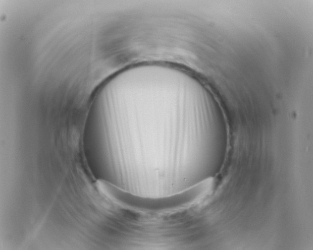 X0000089441505200707061355