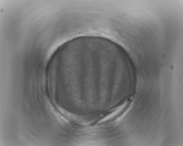 X0000089441506200707061355