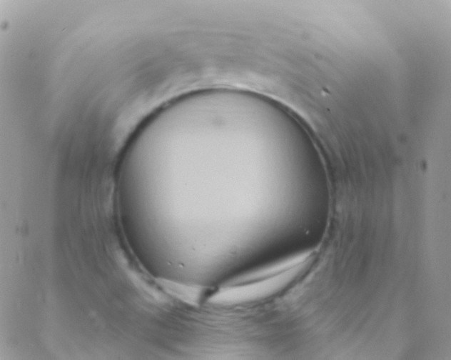 X0000089441507200707061355