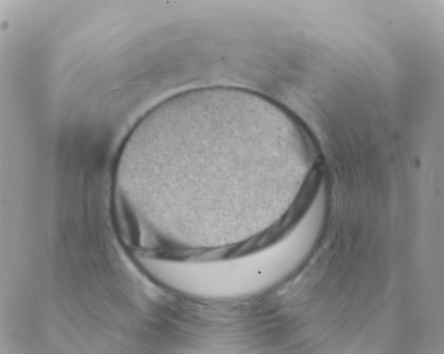 X0000089441508200707061355