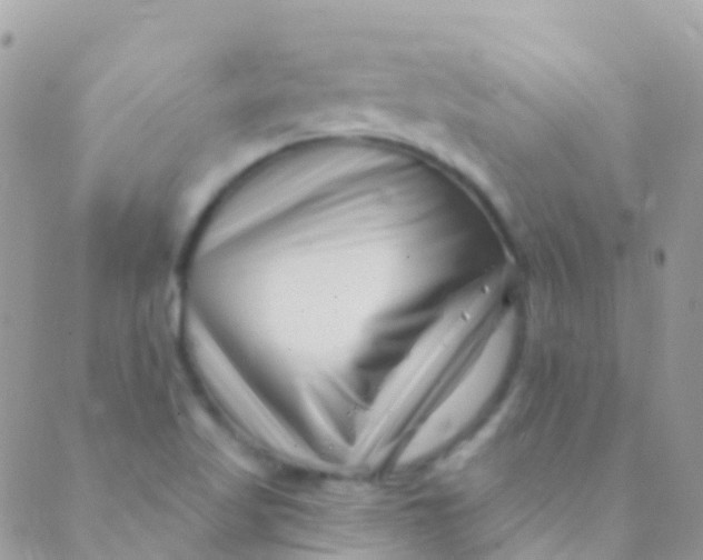 X0000089441509200707061355