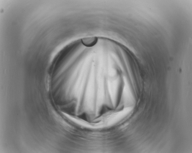 X0000089441510200707061355