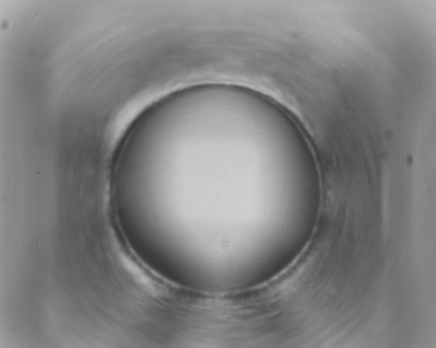 X0000089441511200707061355