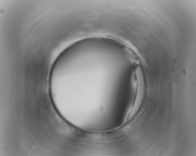 X0000089441512200707061355