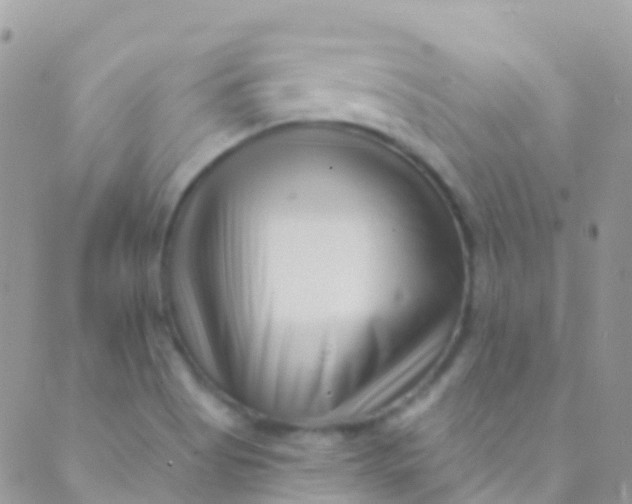 X0000089441513200707061355