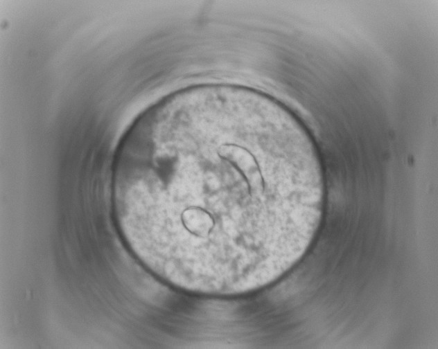 X0000089441514200707061355