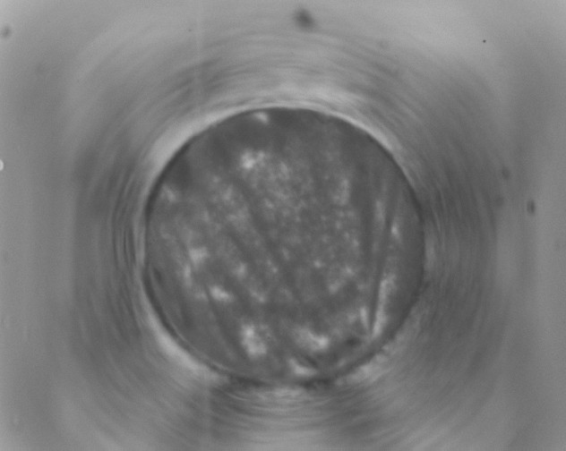 X0000089441515200707061355