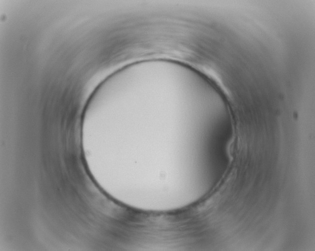 X0000089441516200707061355