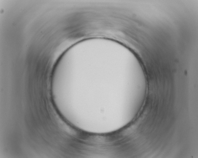 X0000089441517200707061355