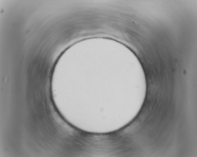 X0000089441518200707061356