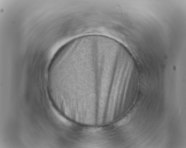 X0000089441519200707061356