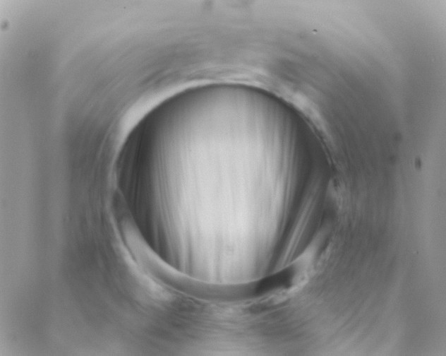 X0000089441520200707061356