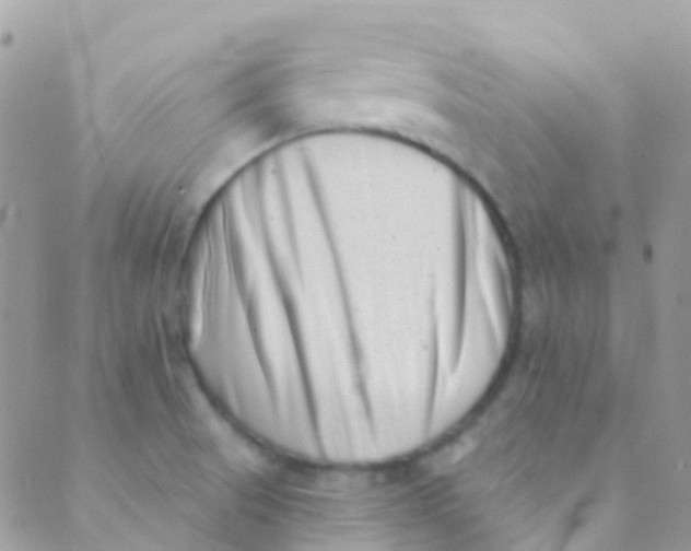 X0000089441521200707061356