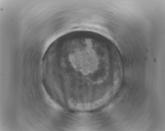 X0000089441522200707061356