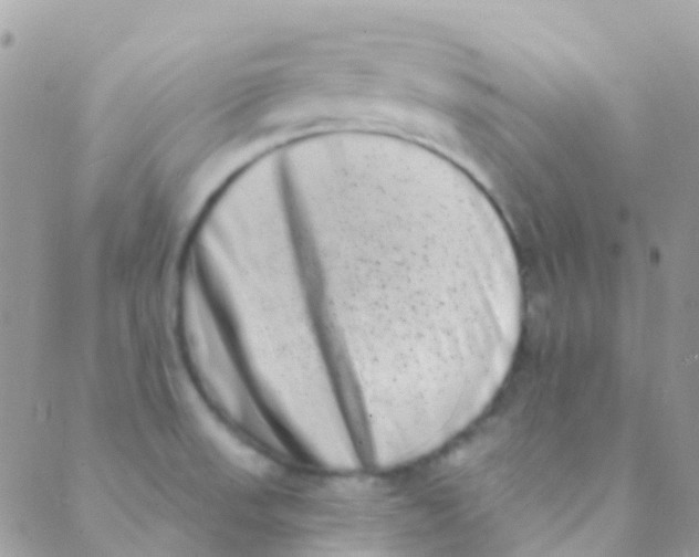 X0000089441523200707061356