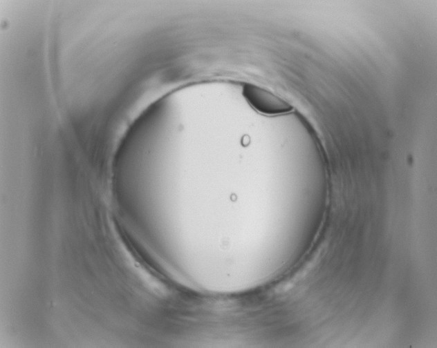 X0000089441525200707061356