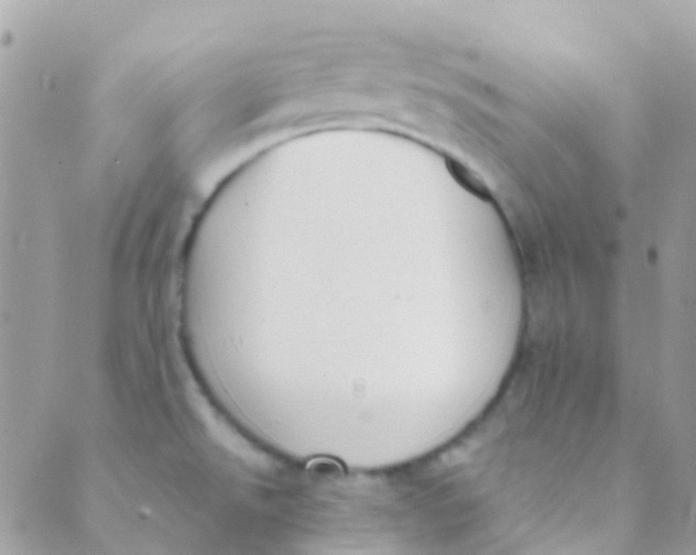 X0000089441526200707061356