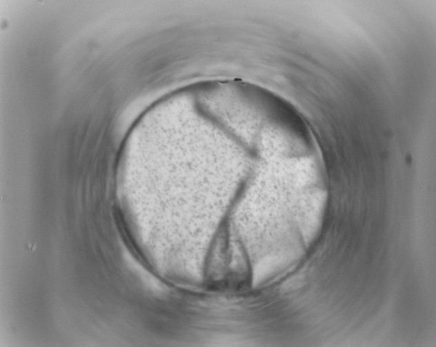 X0000089441527200707061356