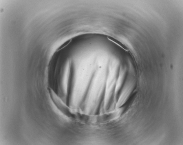 X0000089441528200707061356