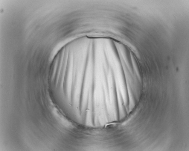 X0000089441530200707061356