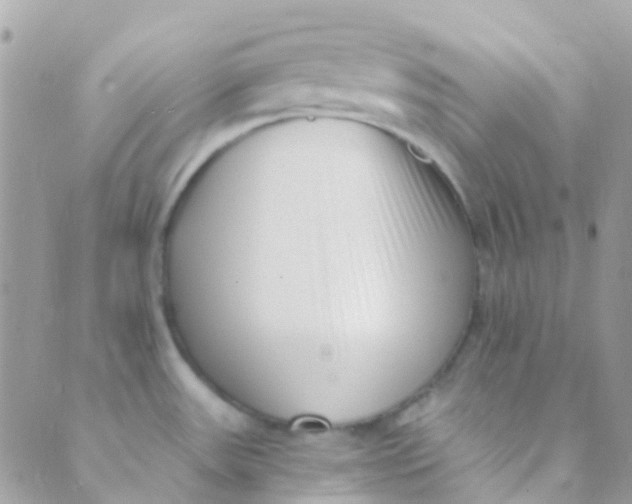 X0000089441531200707061356