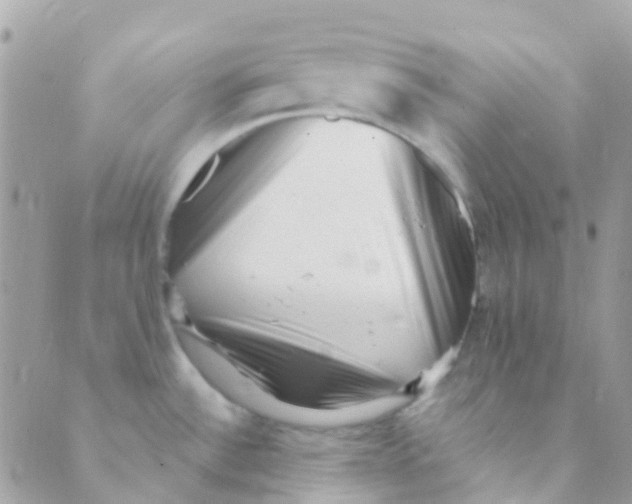 X0000089441532200707061356