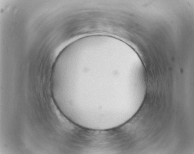 X0000089441534200707061356