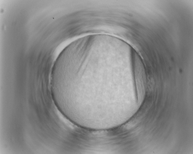 X0000089441535200707061356