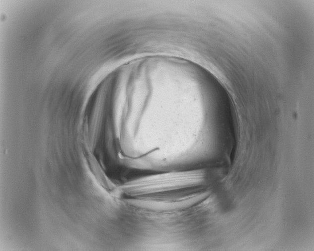 X0000089441536200707061356