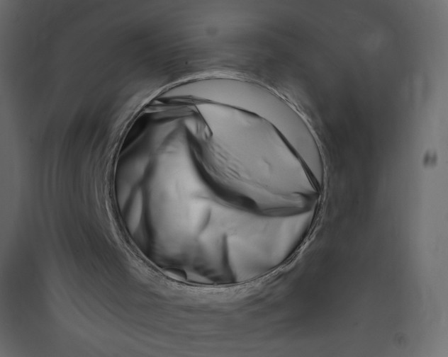 X0000089440001200707131915