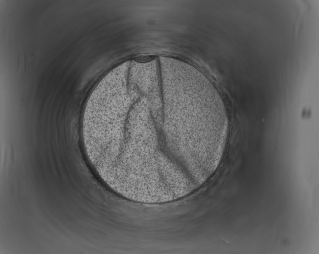 X0000089440002200707131915