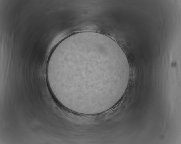 X0000089440004200707131915