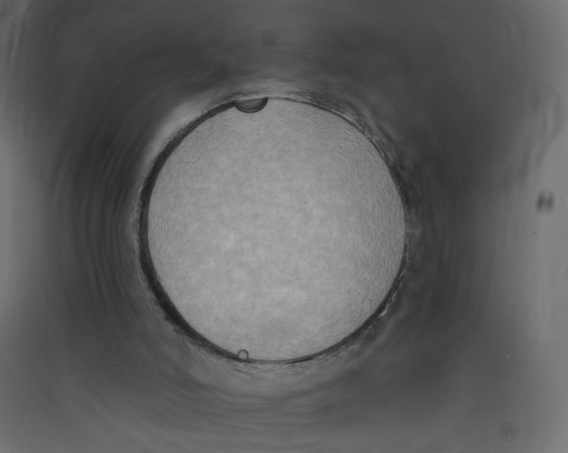 X0000089440006200707131915