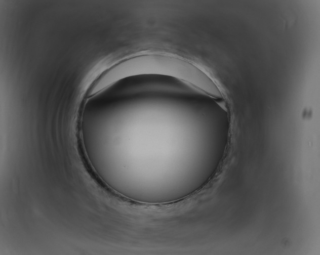 X0000089440007200707131915