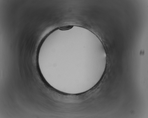 X0000089440008200707131915