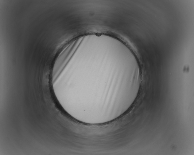 X0000089440010200707131915