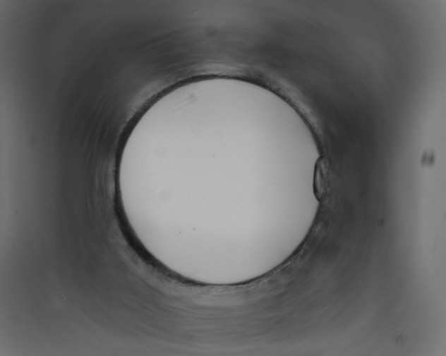 X0000089440011200707131915