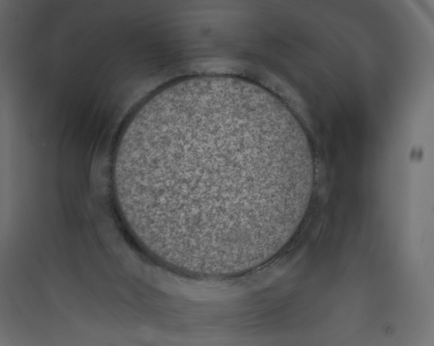 X0000089440012200707131915