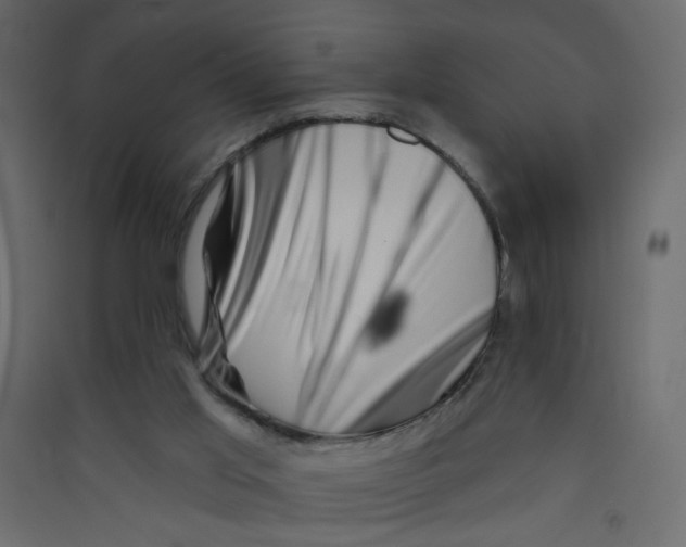 X0000089440013200707131915