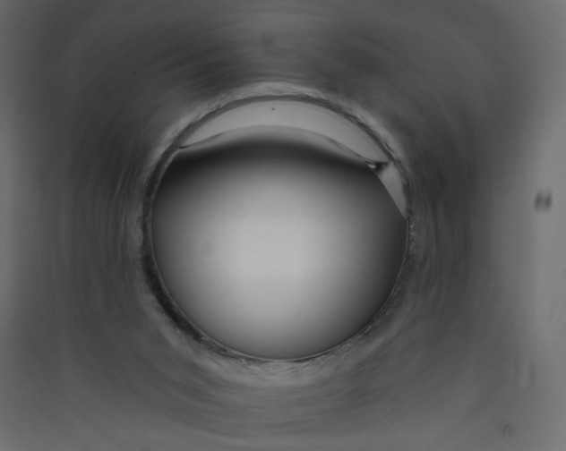 X0000089440015200707131915