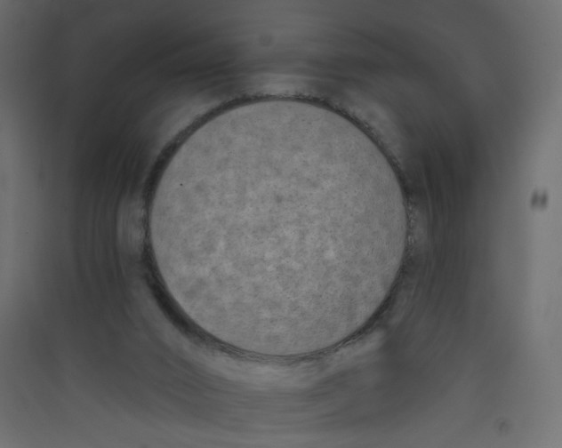X0000089440016200707131915