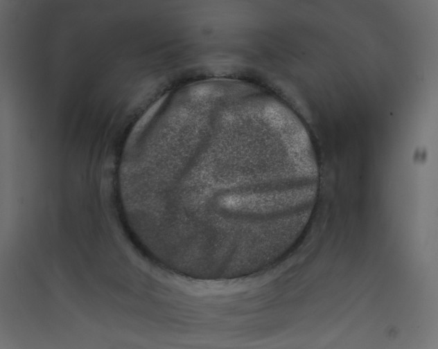 X0000089440018200707131915