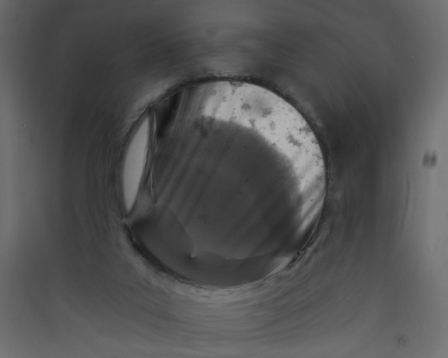 X0000089440019200707131915