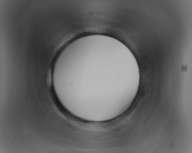 X0000089440020200707131915