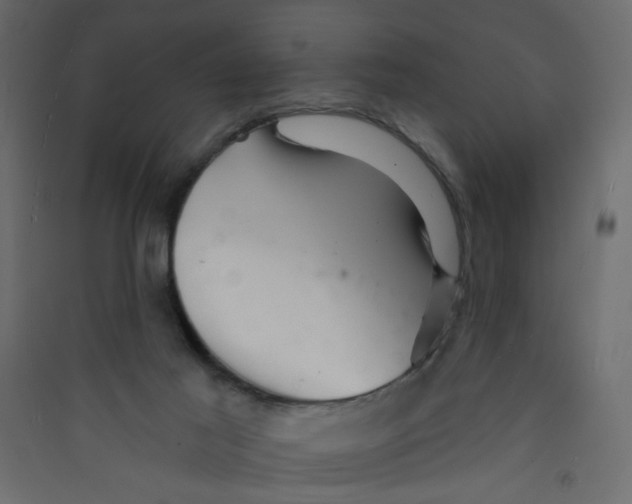 X0000089440021200707131915