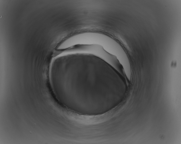 X0000089440023200707131915