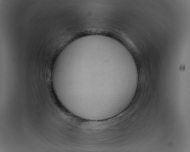 X0000089440025200707131915