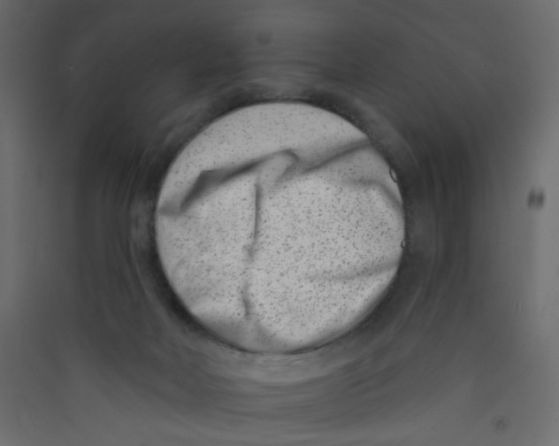 X0000089440026200707131915
