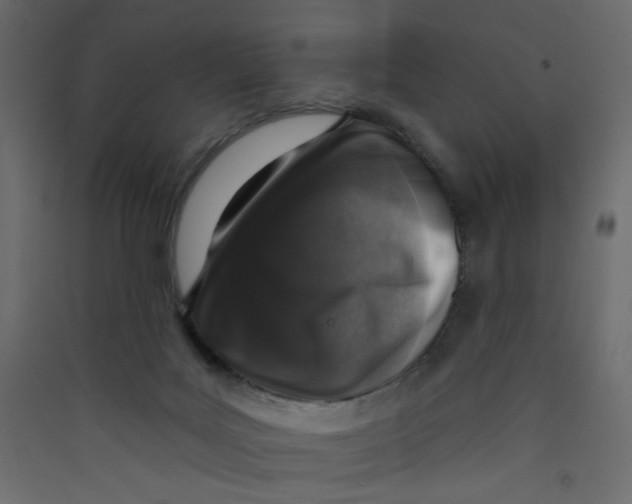 X0000089440027200707131915