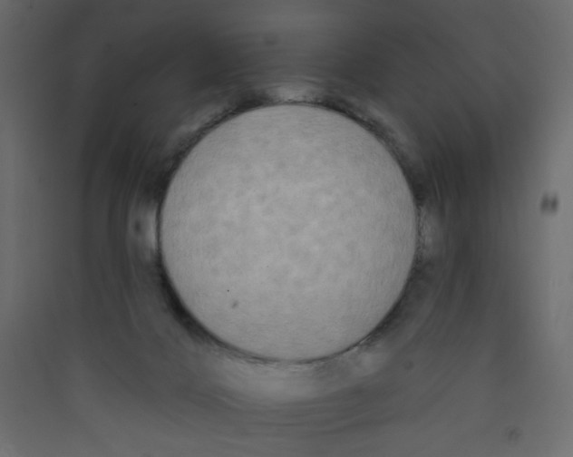 X0000089440028200707131915